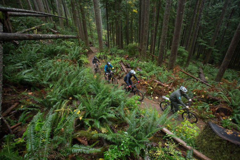 New Backcountry Trail Opens at Olallie