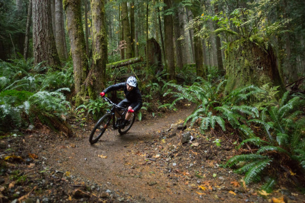 evergreen mountain bike trails