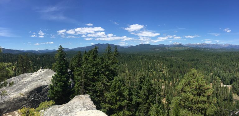 Teanaway Community Forest