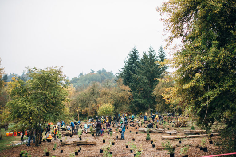 The Year in Review: 2018 Accomplishments Across the Greenway