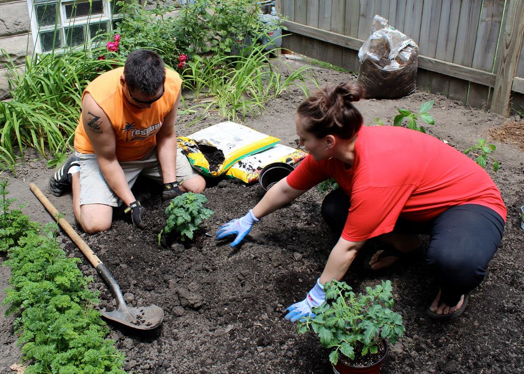 Proper planting.