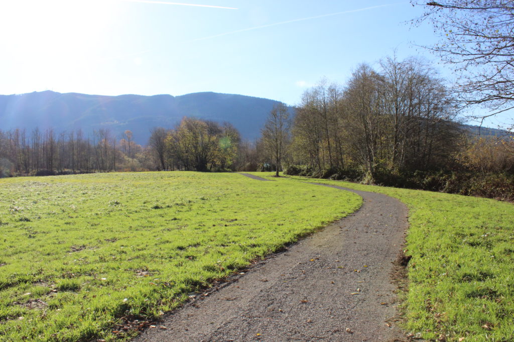 Dike Road Fields_credit Si View Parks Mountains To Sound Greenway Trust