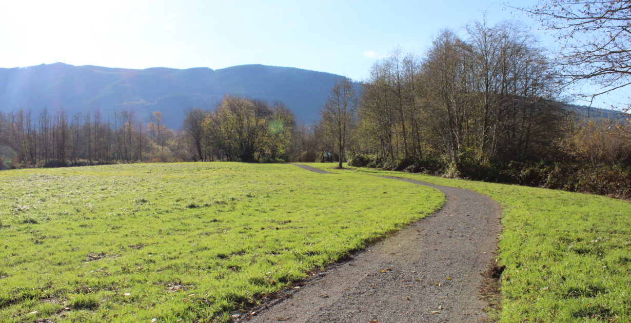 Dike Road Fields_credit Si View Parks Mountains To Sound Greenway Trust