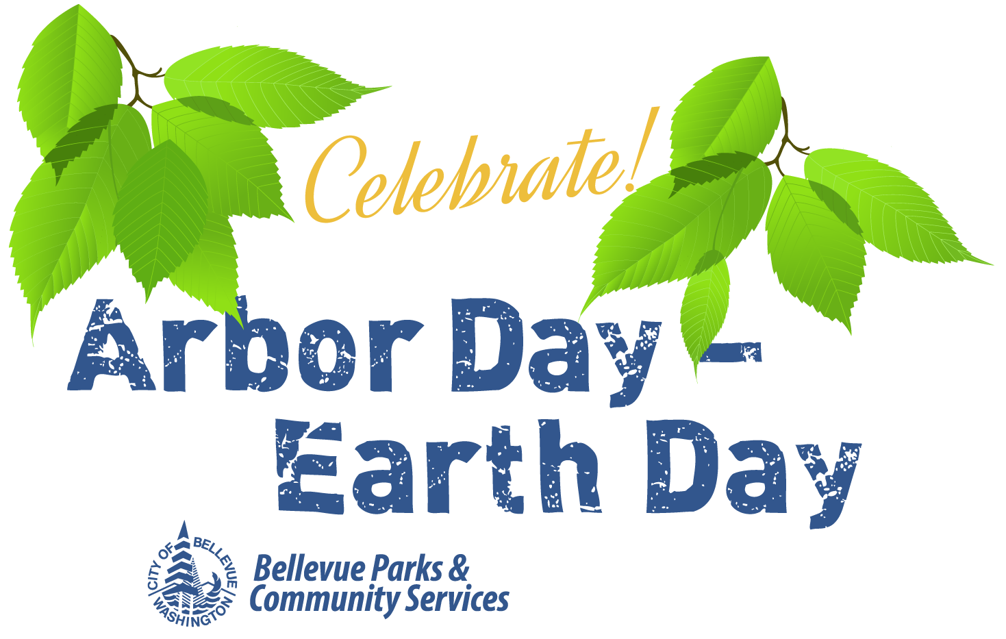 Arbor Day Events 2024 Amitie Goldarina