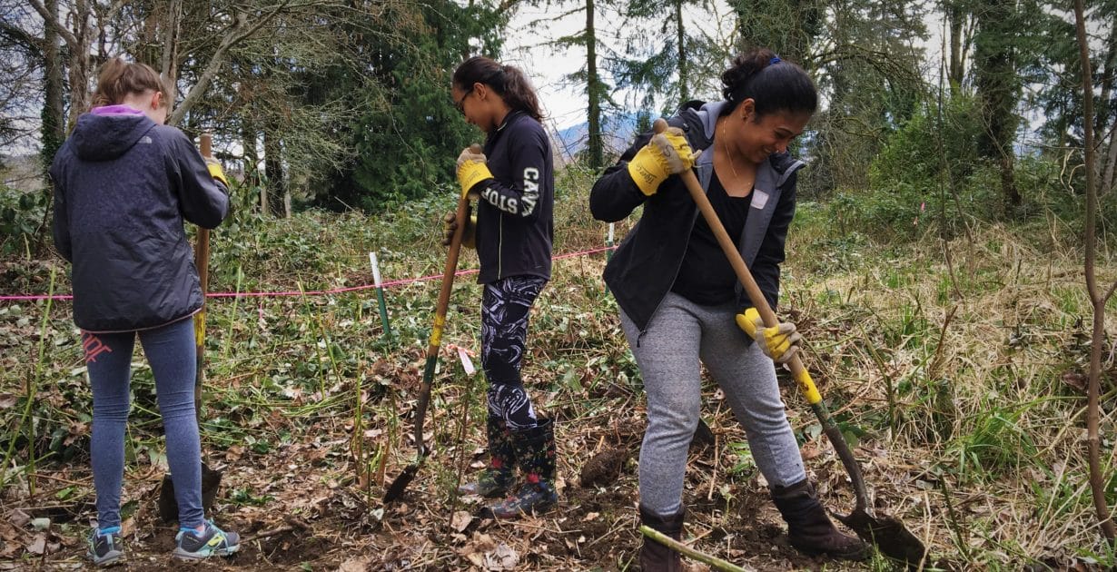 Habitat Restoration along Pickering Reach Mountains To Sound Greenway