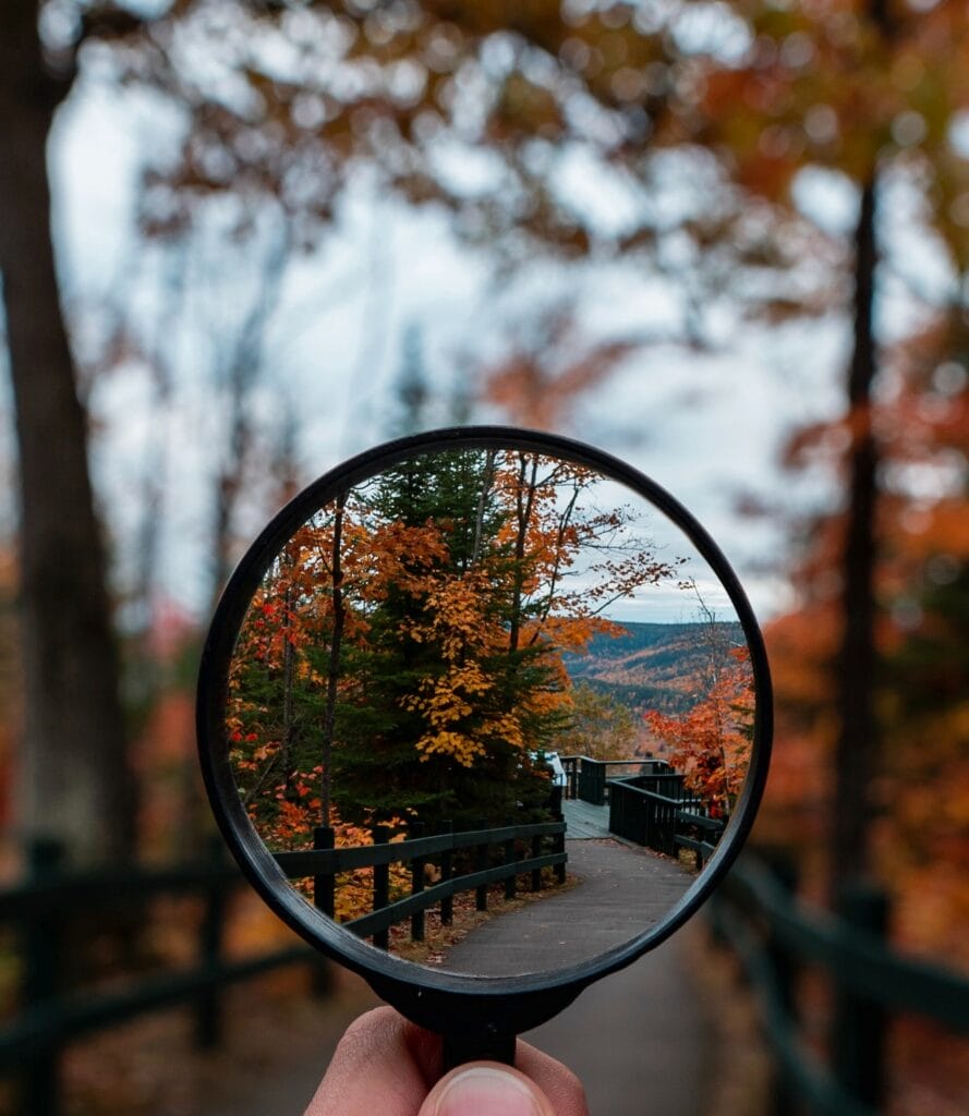 hand holding a magnifying glass looking into a fall forest scene