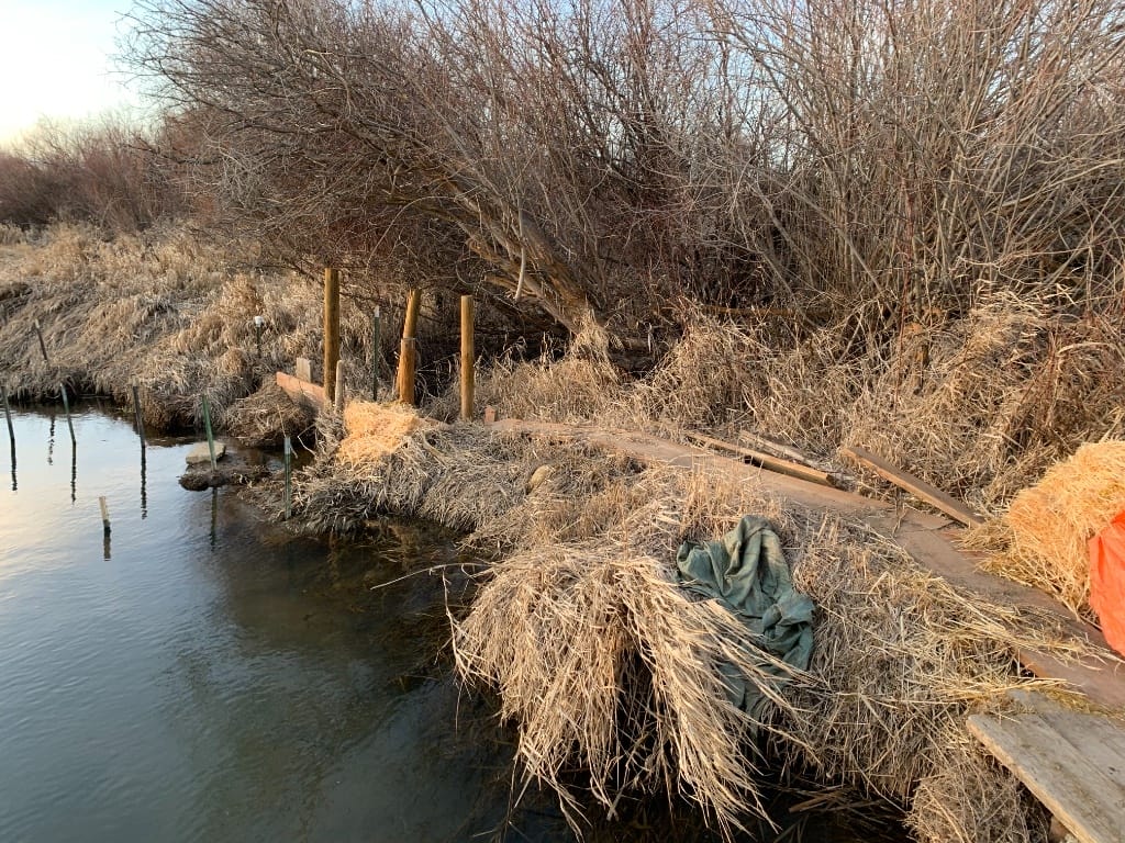 Thorp Ditch before Mountains To Sound Greenway Trust