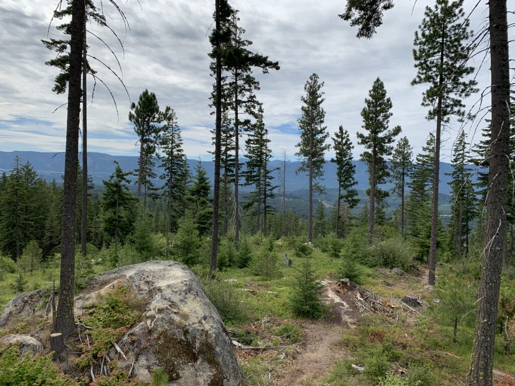 A Towns to Teanaway Trail
