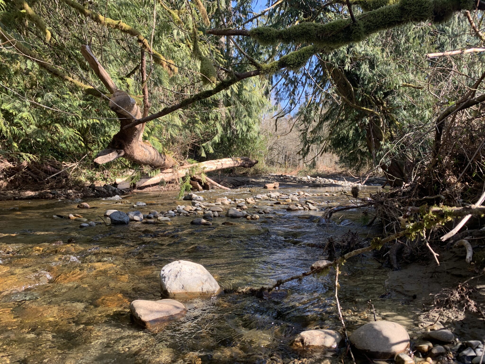 Working Toward a More Connected Landscape in 2021 Mountains To Sound