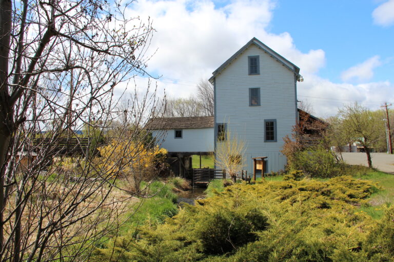 The Future of the Thorp Grist Mill 