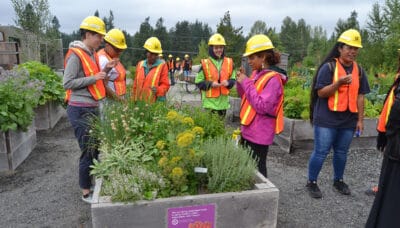 Youth in hard hats and safety vests standing around a garden box with plants