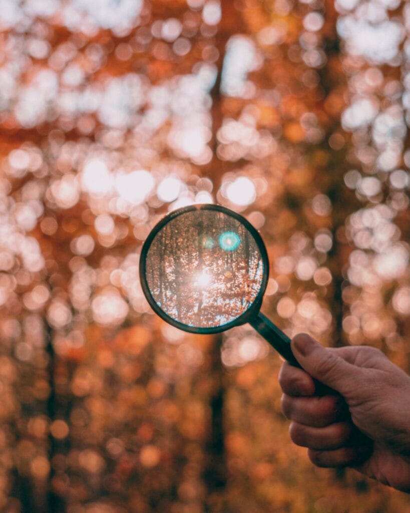 Magnifying glass looking out into a dappled light forest, with fall color.