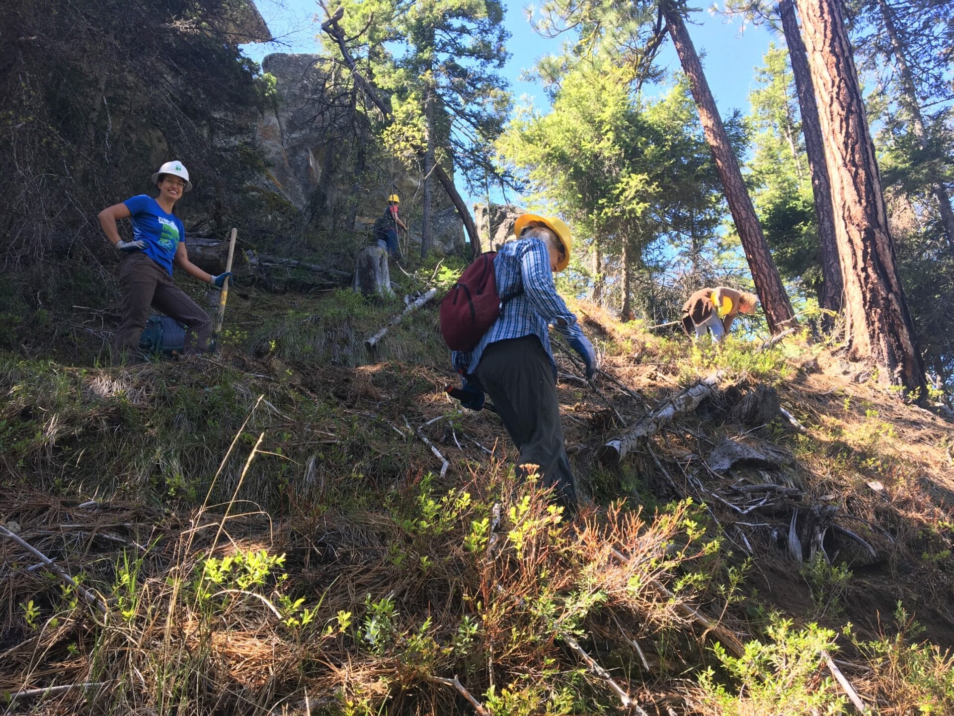 Volunteers clearing brush from an area on a hill in front of a rock formation