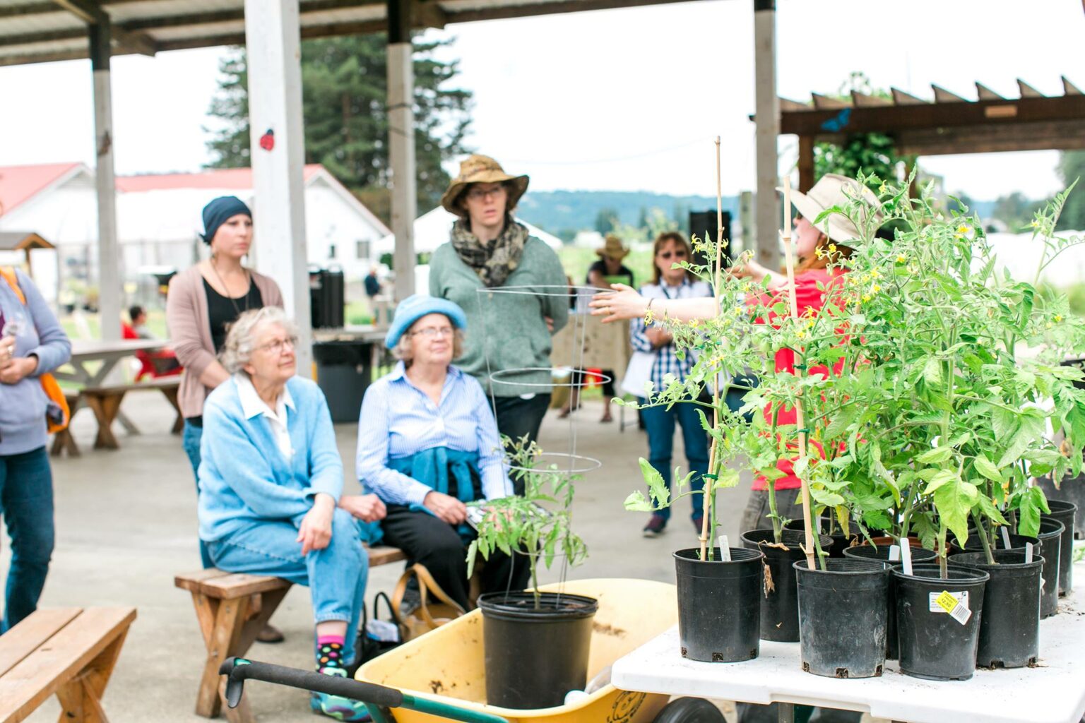 Then and Now Carnation Farms Mountains To Sound Greenway Trust