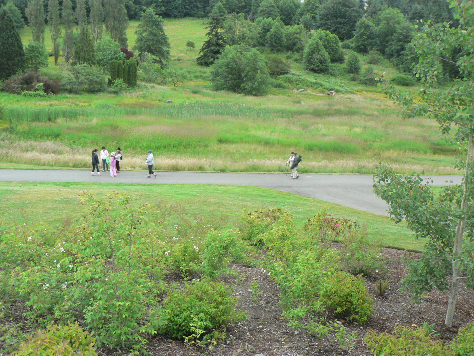 Lewis Creek Park and Visitor Center Mountains To Sound Greenway Trust