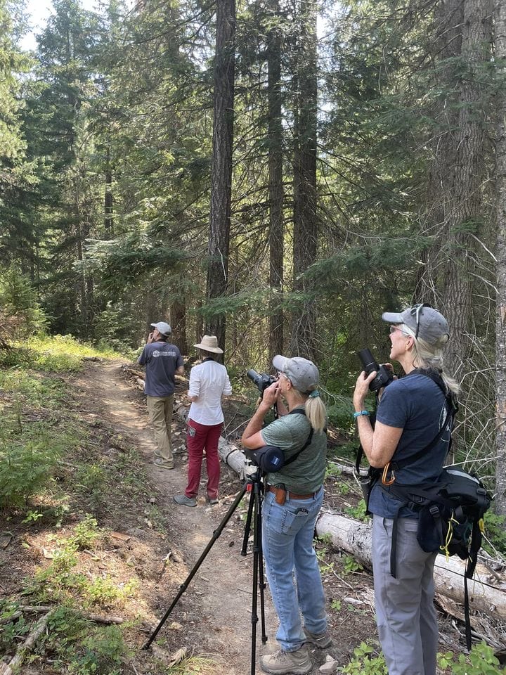 The Teanaway birding group from 2022 pauses on the trail to look up at a bird out of frame.