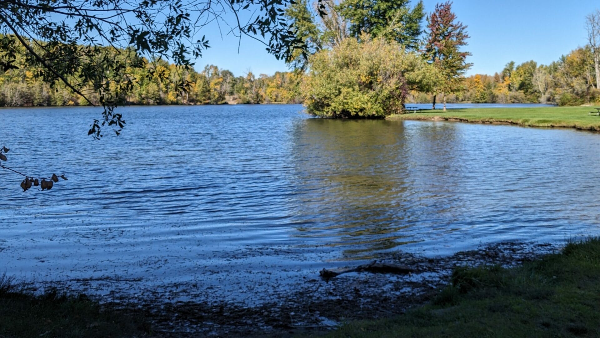 Irene Rinehart Riverfront Park Mountains To Sound Greenway Trust